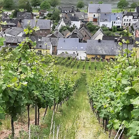 شقة Mosel Statt Mallorca *